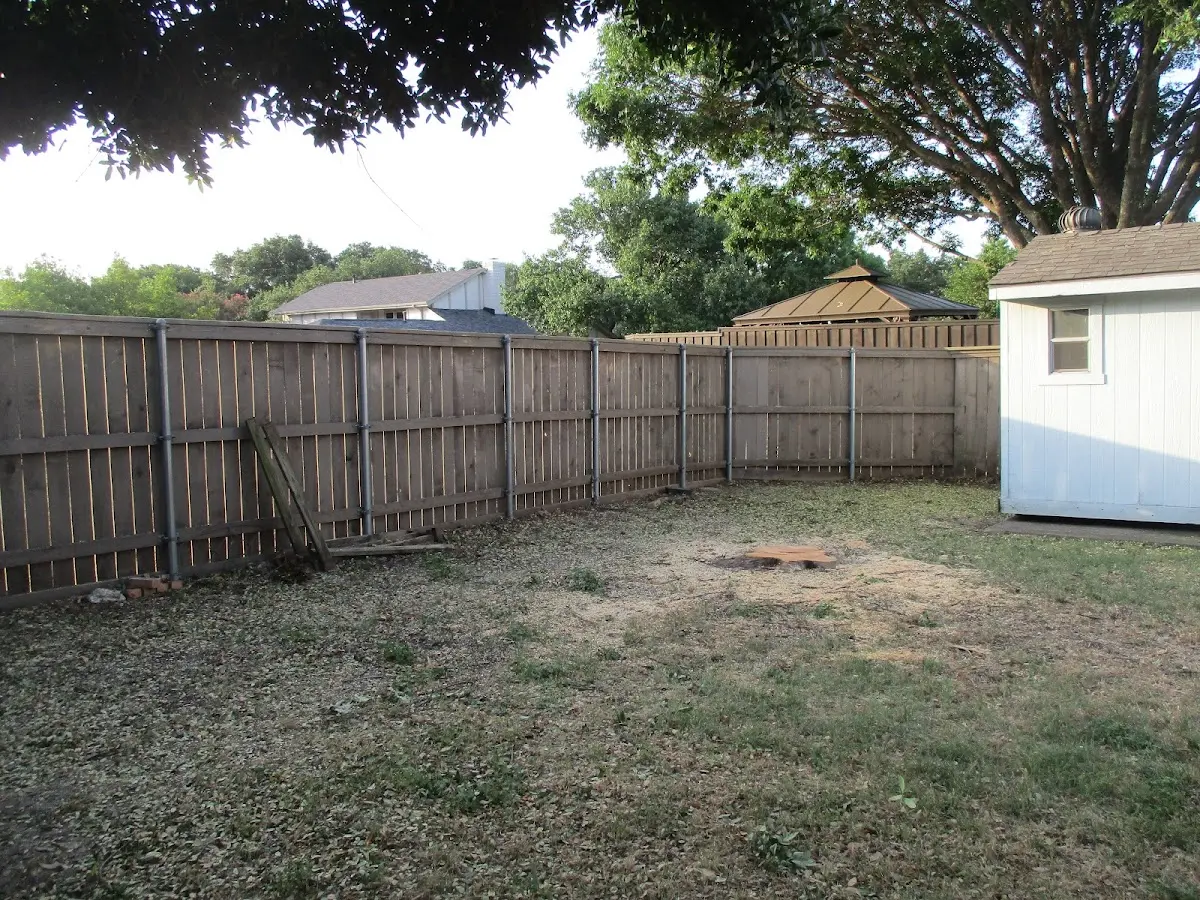 Cleared yard after professional tree removal in Basco